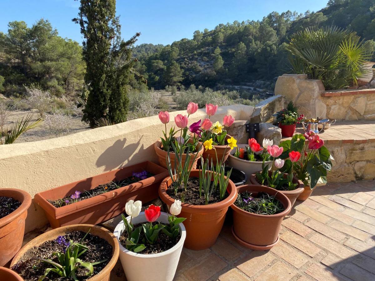 Finca Las Estrellas Relleu ภายนอก รูปภาพ