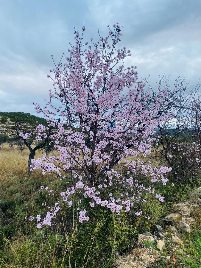 Finca Las Estrellas Relleu ภายนอก รูปภาพ