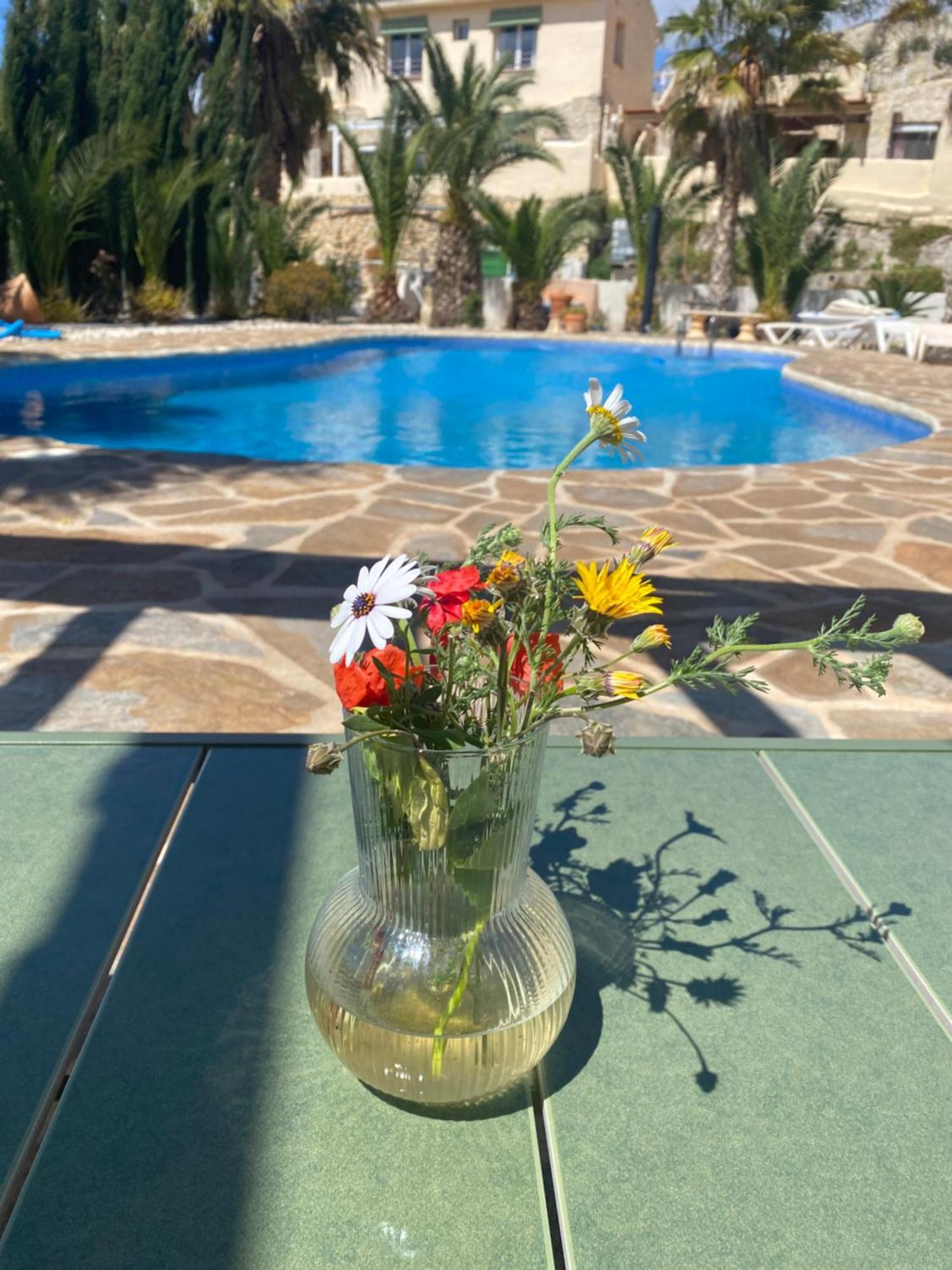Finca Las Estrellas Relleu ภายนอก รูปภาพ